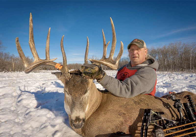 Canadian Whitetail